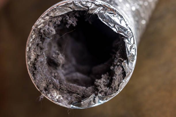 Best Residential Air Duct Cleaning  in Soddy Daisy, TN